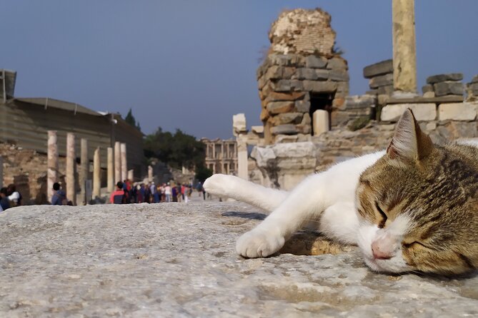 Best of Ephesus Tour From Kusadasi: Temple of Artemis, St John Basilica, Isa Bey Mosque - Meryemana (Virgin Mary’s House): where the day slows down