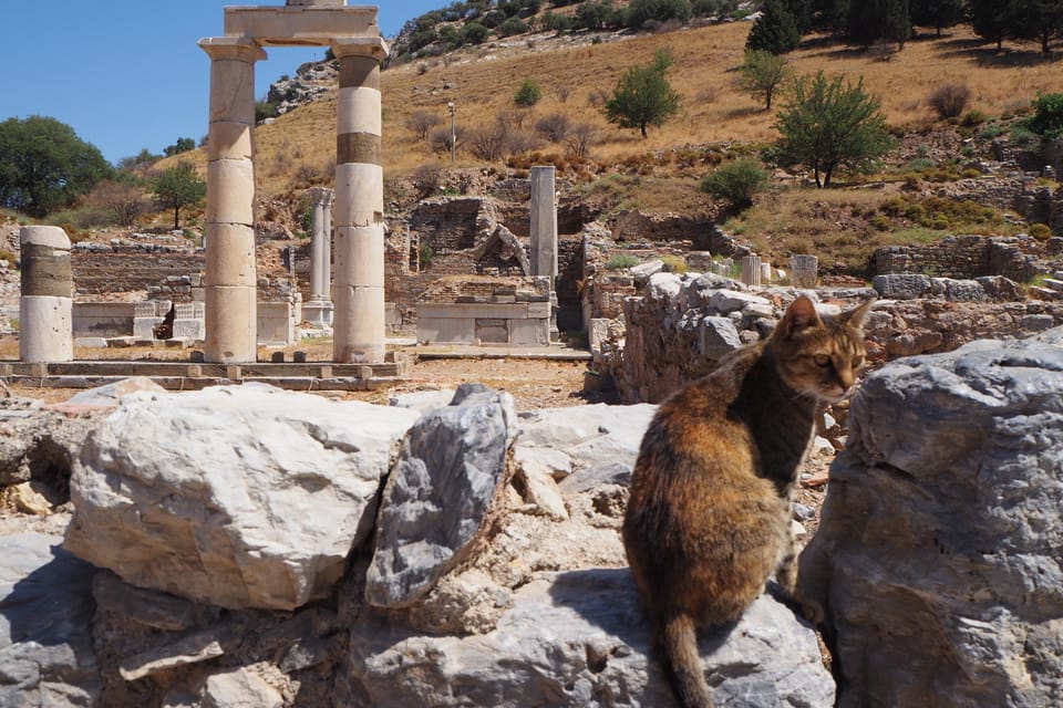 Ephesus: Half-Day Tour from Kusadasi - Practical Notes: What to Wear, How to Walk, and How to Keep Control