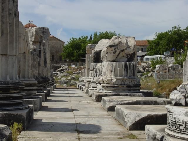 Ephesus, Priene, Miletos and Didyma Tour - Didyma’s Temple of Apollo: Prophecy in Stone