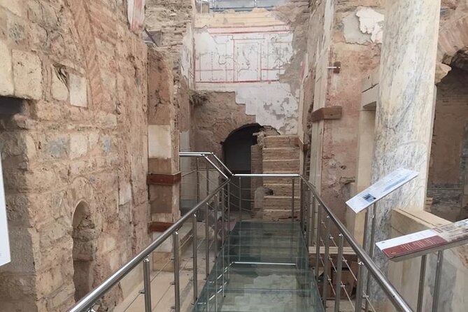 Ephesus Private/MINI Group Tours Terrace Houses Option Skip Lines - Who should book this tour