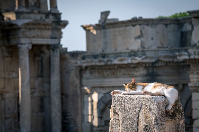 Ephesus: Private Tour with Skip-The-Line & Less Walking - Temple of Artemis: a quick stop with big context