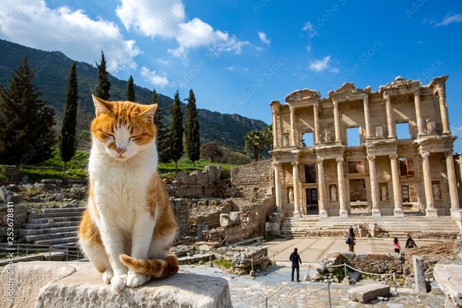 Journey to Ancient Wonders: Explore Ephesus with a Private Tour - Terrace Houses: frescoes, mosaics, and lots of stairs