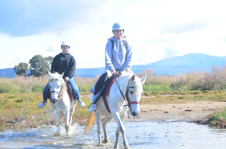 Kusadasi: Beach and Forest Horse Riding Tour - Key points before you go