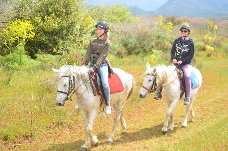 Kusadasi: Beach and Forest Horse Riding Tour - Kusadasi Horse Riding: what this 3-hour tour feels like