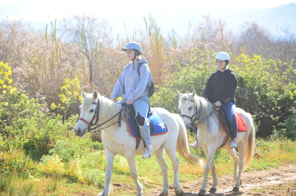 Kusadasi: Beach and Forest Horse Riding Tour - First steps on horseback: learning control without the pressure