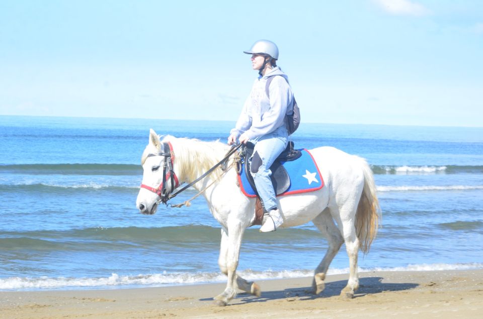 Kusadasi: Beach and Forest Horse Riding Tour - Price and value: is $34 really fair here?