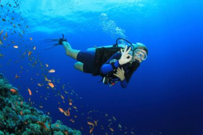 Kusadasi: Diving Experience with Lunch and Transfer - Why This Kuşadası Scuba Day Feels Beginner-Friendly