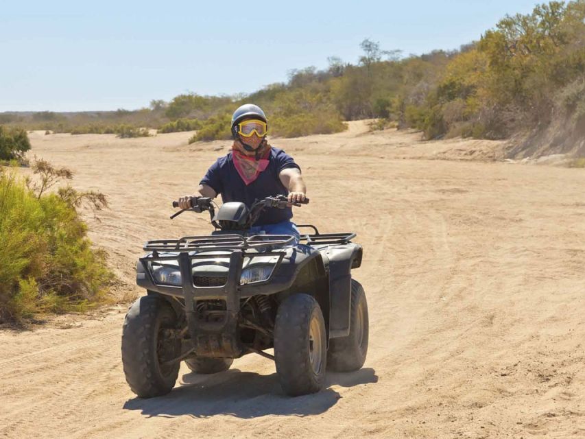 Kusadasi: Guided Quad Biking Tour - Quick Hits Before You Go