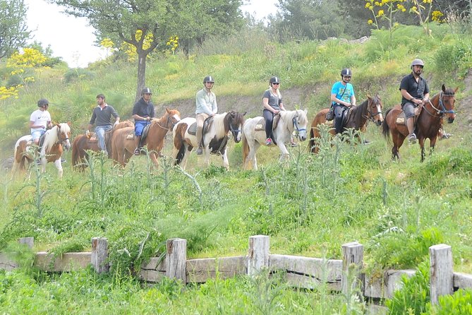 Kusadasi Horse Riding Beach and Forest options with Transfer - Getting From Kusadasi to the Horse Club (Pickup That Actually Helps)