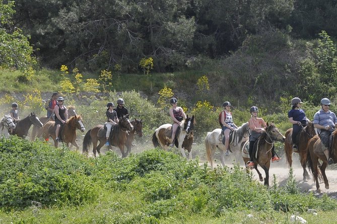 Kusadasi Horse Riding Beach and Forest options with Transfer - What You’ll Actually Ride: Pine Forest Trails to the Coast