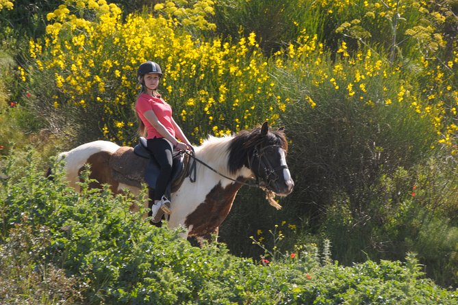 Kusadasi Horse Riding Beach and Forest options with Transfer - How Much Is It, and Does $66.08 Really Make Sense?