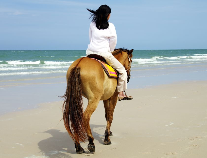 Kusadasi: Horse Riding Beach and Forest w/Transfer - Key points before you go