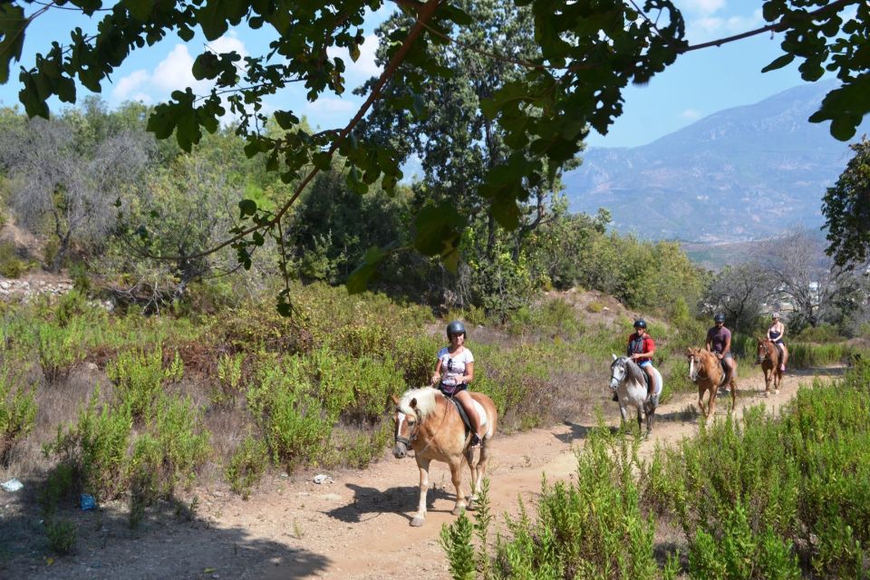 Kusadasi: Horse Riding Beach and Forest w/Transfer - Hotel pickup, ranch timing, and how the day flows in Kusadasi