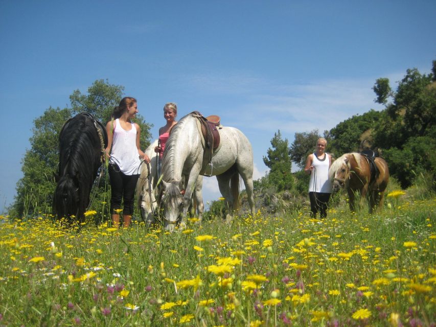Kusadasi: Horse Riding Beach and Forest w/Transfer - Small group size: why 8 matters more than you think