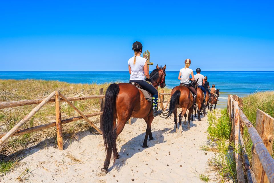Kusadasi: Horse Riding Beach and Forest w/Transfer - What’s included, what’s not, and how to plan your day