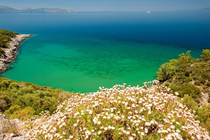 Kusadasi Jeep Safari Adventure w/LUNCH from Kusadasi Hotels&PORT - Guzelçamlı National Park: sunbathing with a view payoff