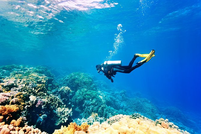 Kusadasi Scuba Diving Experience w/Instructor incl. Transfer - Kusadasi’s Aegean Water Clarity: Why It Works for First-Timers