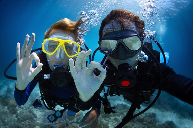 Kusadasi Scuba Diving Experience w/Instructor incl. Transfer - Who Should Book This Kusadasi Session (and Who Might Want More)