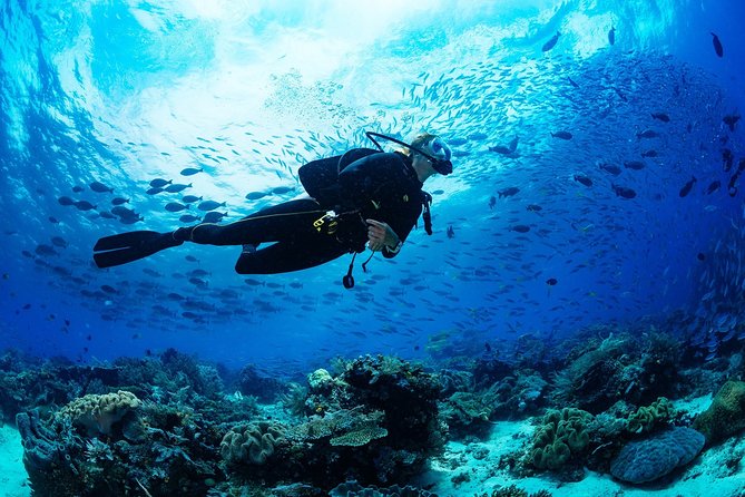 Kusadasi Scuba Diving Experience w/Instructor incl. Transfer - Gear, Instructor Setup, and the Shallow Practice That Builds Confidence