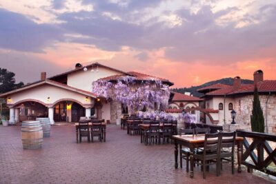 Kusadasi Shore Excursions Ephesus and Wine Tasting Tours - Ephesus Ancient City: Celsus, Theatre, and Roman Street Life