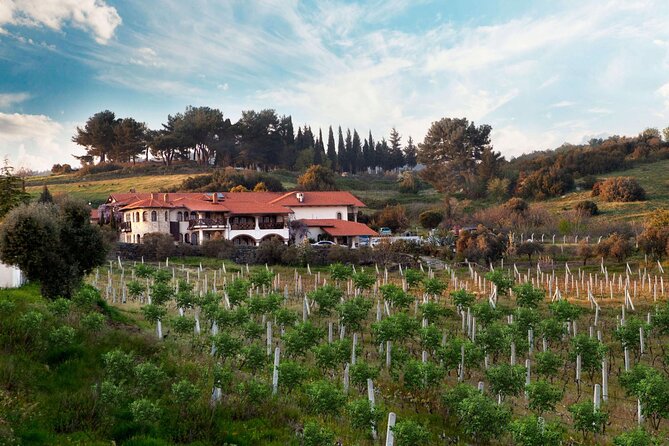 Kusadasi Shore Excursions Ephesus and Wine Tasting Tours - The Carpet, Leather Jacket, and Jewelry Stops: Cultural or Sales-Like?