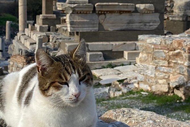 LESS Walking Tour : Private Ephesus, House of Virgin Mary, Temple - House of the Virgin Mary on the mountain side