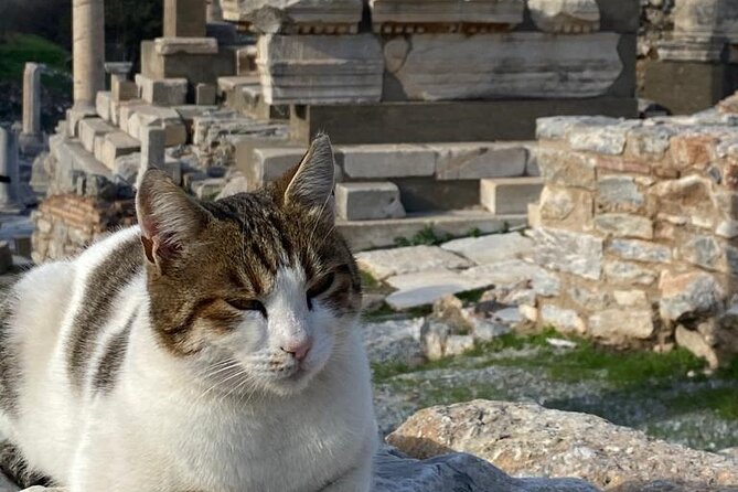 NO HIDDEN FEES : Ephesus, Virgin Mary's House, St. John Basilica - Basilica of St John: where the story ends—and rain can matter