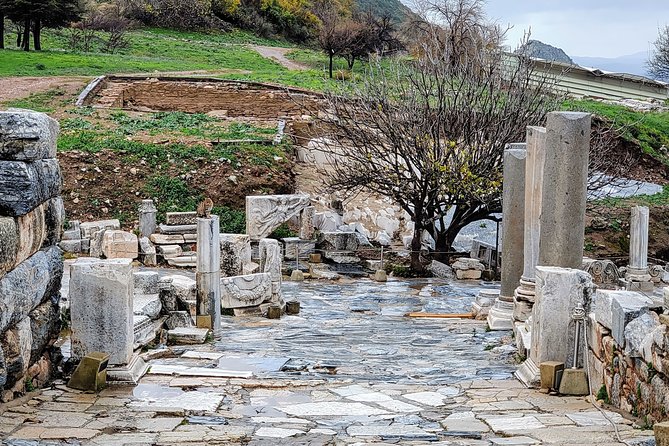 NO HIDDEN FEES : Private Ephesus, Artemission with grp. option - Price And Value: Why $99 Can Be a Good Deal Here