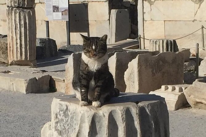 NO HIDDEN FEES Private Ephesus with skip the line tickets - Customize Your Time: Terrace Houses and Lunch If You Want Them