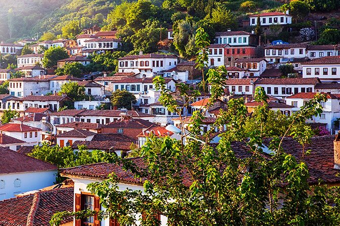 Private Ephesus and Sirince Village Tour from Kusadasi Port/Lunch - Kusadasi Port Logistics: pickup, pacing, and why the timing works