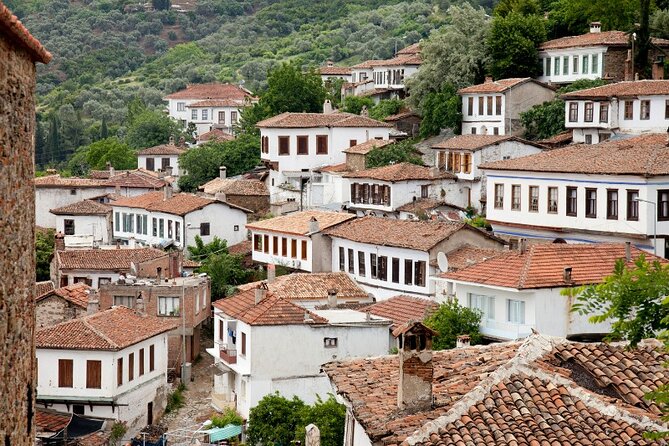 Private Ephesus & Sirince Village Tour from Kusadasi/Ephesus Port - Who should book this tour, and who might want a different plan