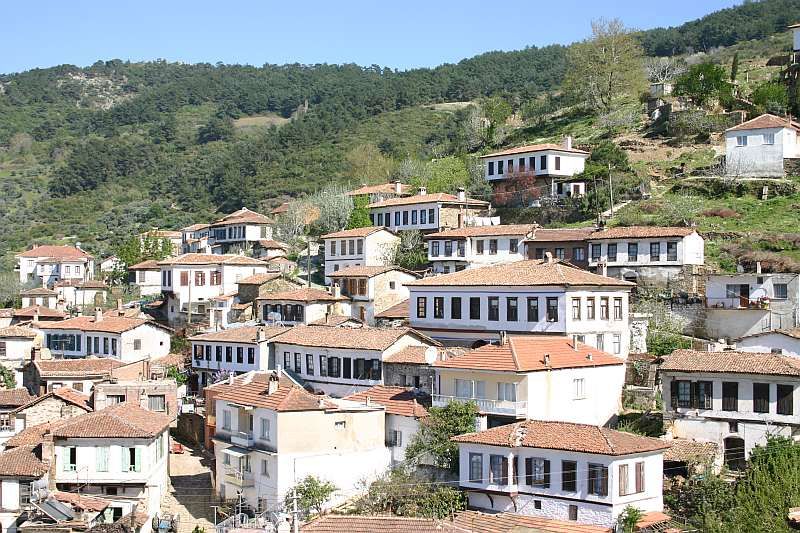 Private Ephesus, Terrace Houses & Sirince Village Tour - Ephesus in About 2 Hours: Artemis, Odeon, and the Roman Street Plan
