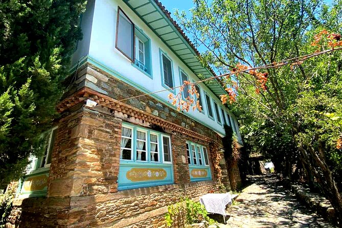 Private Ephesus Tour & Cooking Class in Village - Selçuk Old Town: Quick, Charming, and Good for Crafts