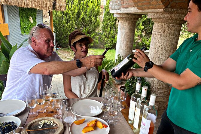 Private Ephesus Tour & Wine Tasting & Mediterrranean Lunch - Yedi Bilgeler Şaraphane Oteli: Wine Tasting with Ancient Names