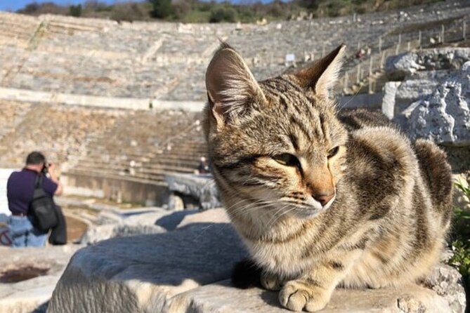 Private Tour : Biblical Ephesus Tour for Cruisers from Kusadasi ( Ephesus ) Port - Temple of Artemis: One Quick Wonder Moment